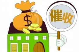 枞阳为什么选择专业追讨公司来处理您的债务纠纷？